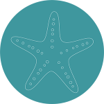 seastar icon